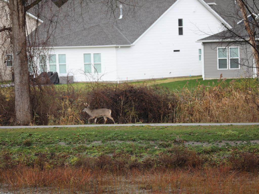 យុទ្ធសាស្ត្រលេង៖ ការលេងដើម្បីបង្កើតទំនាក់ទំនងដ៏រឹងមាំ