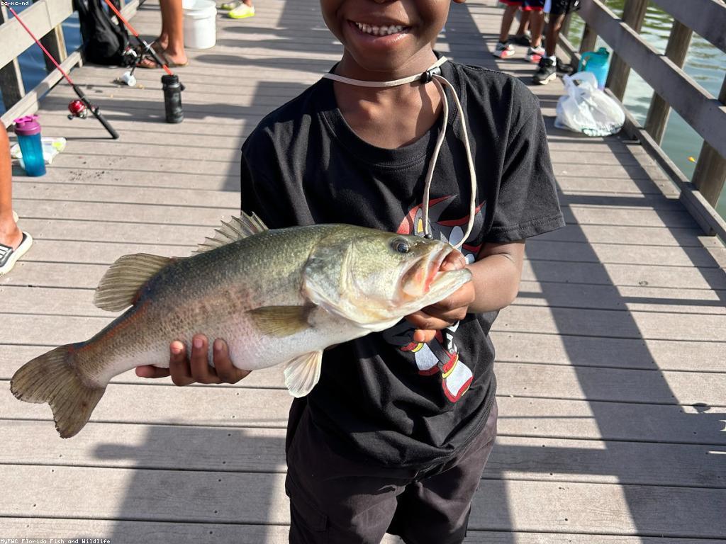 យុទ្ធសាស្ត្រលេង៖ ការប្រើប្រាស់ការលេងក្នុងការសិក្សា